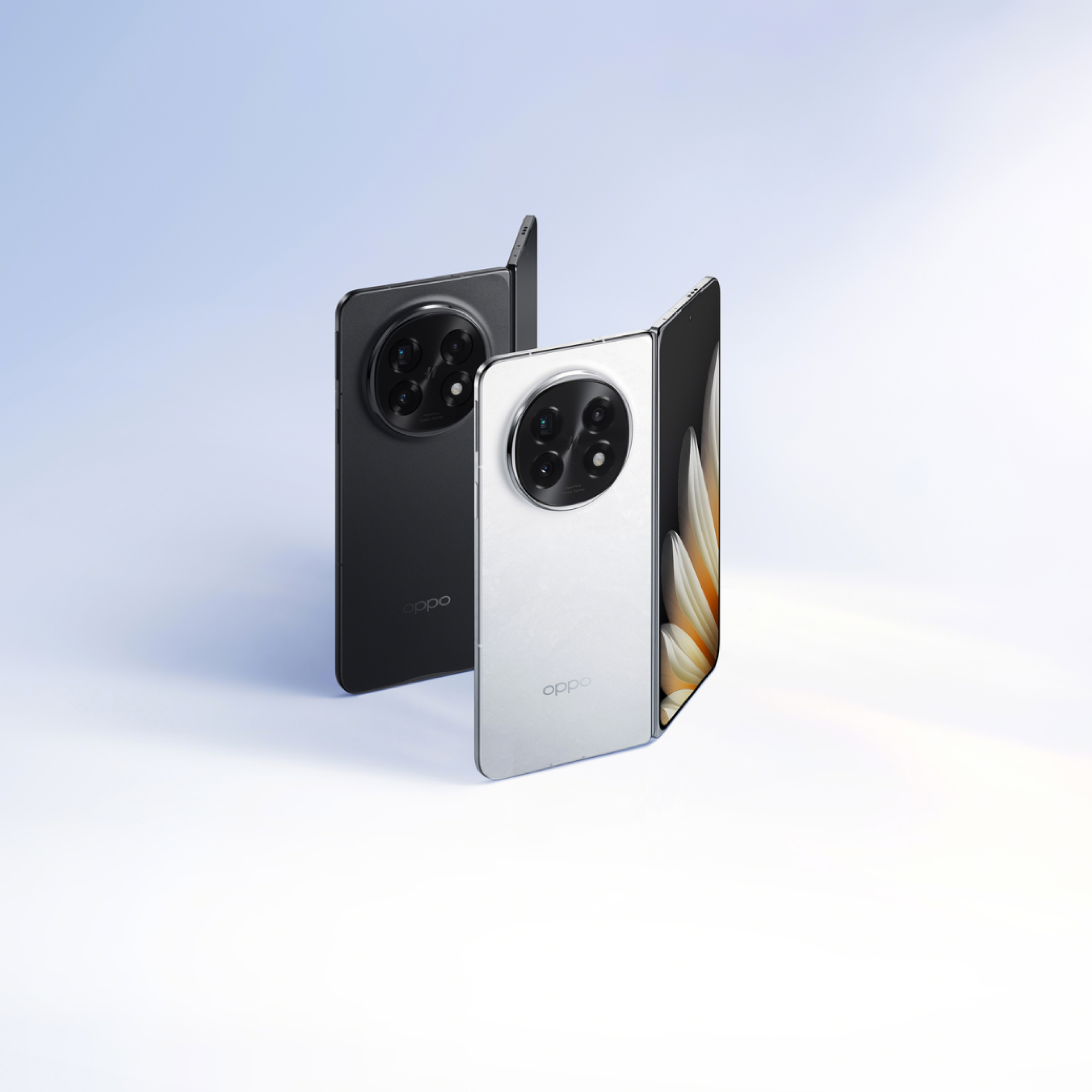 E8VyJLs5qEwiRW7q.jpg?x-amz-